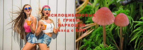 СК Абдулино