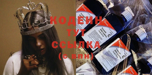 сатива Сатка